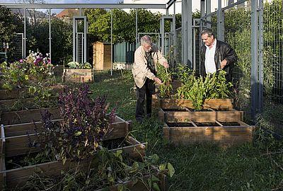 jardin partagé noisy le grand
