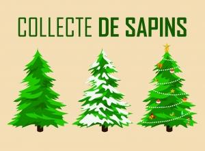 collecte sapins noisy le grand